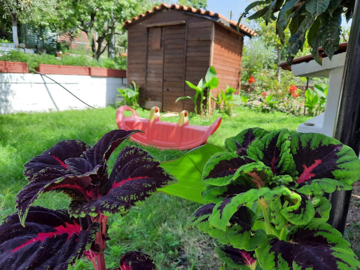 Theodoras House Guest House Nea Iraklitsa Ngoại thất bức ảnh
