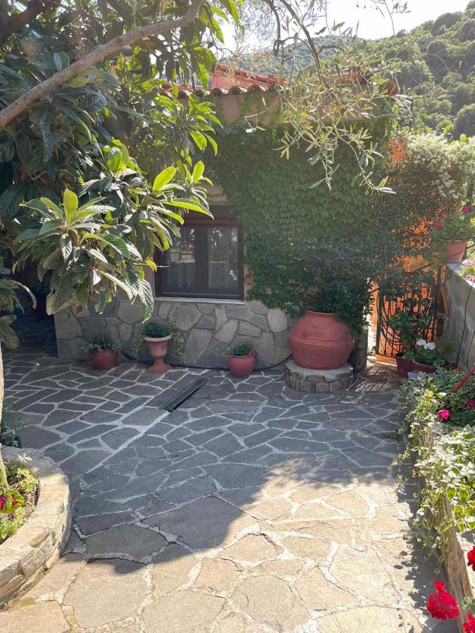 Theodoras House Guest House Nea Iraklitsa Ngoại thất bức ảnh
